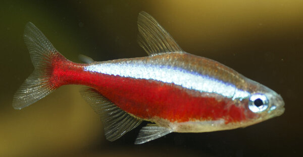 SS__3259 bewerkt 360.jpg