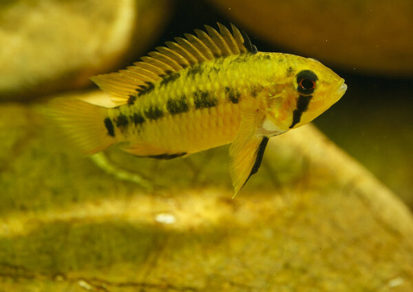 SS__3263 bewerkt 362.jpg