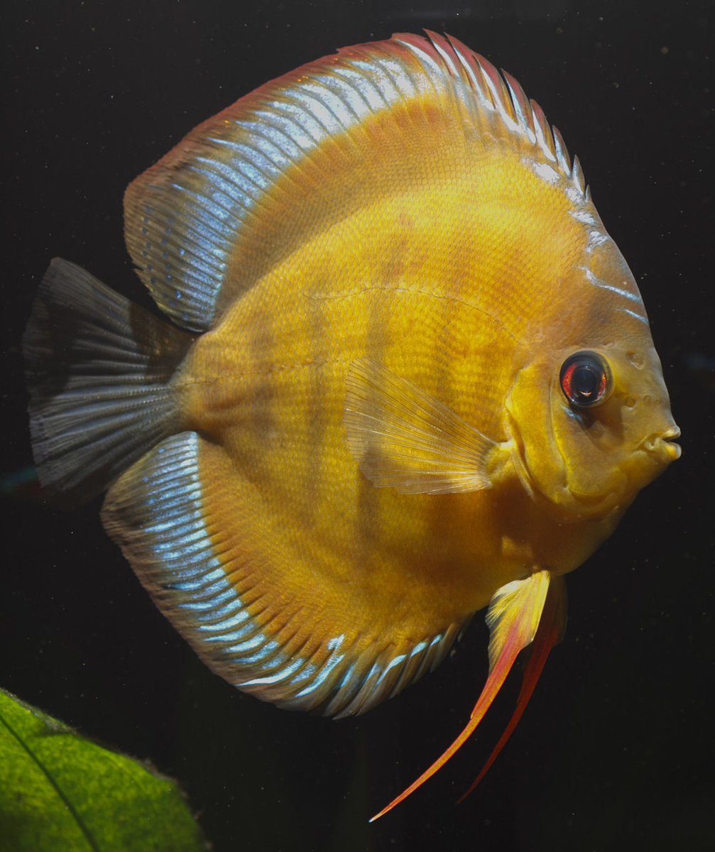 SS__3269 bewerkt 363.jpg