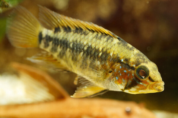 SS__3281 bewerkt 366.jpg