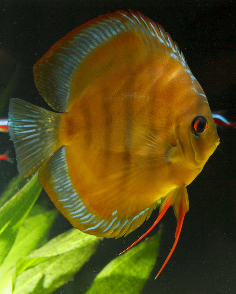 SS__3289 bewerkt 372.jpg