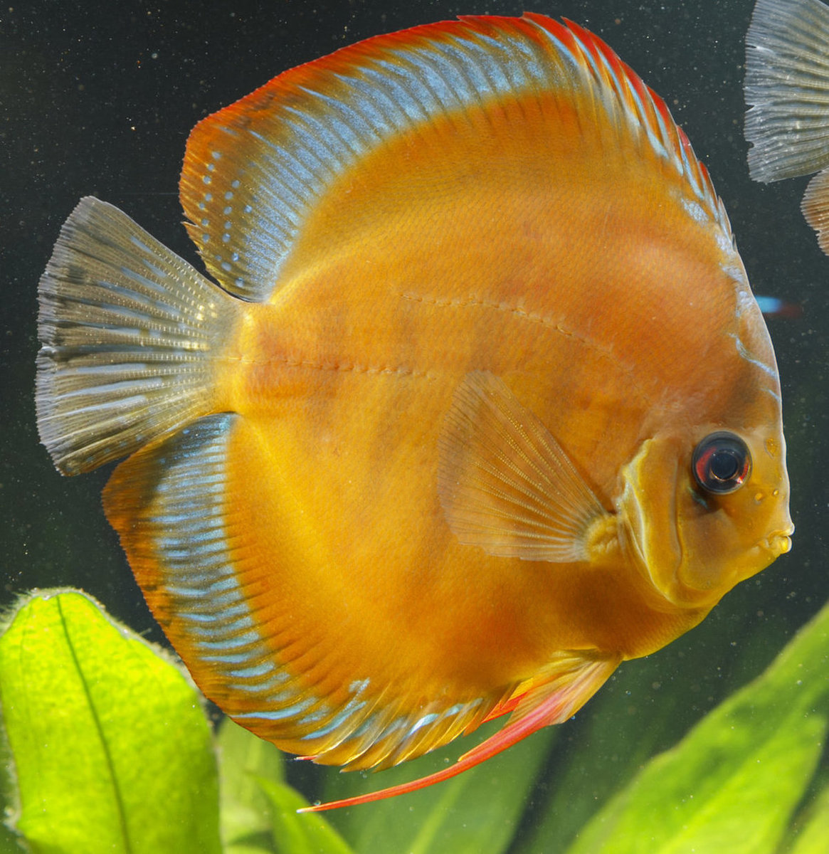 SS__3318 bewerkt 376.jpg