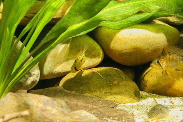 SS__3326 bewerkt 378.jpg