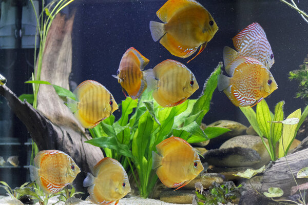 SS__3720 bewerkt 462.jpg