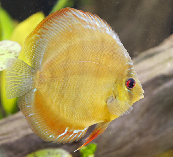 SS__3727 bewerkt 463.jpg