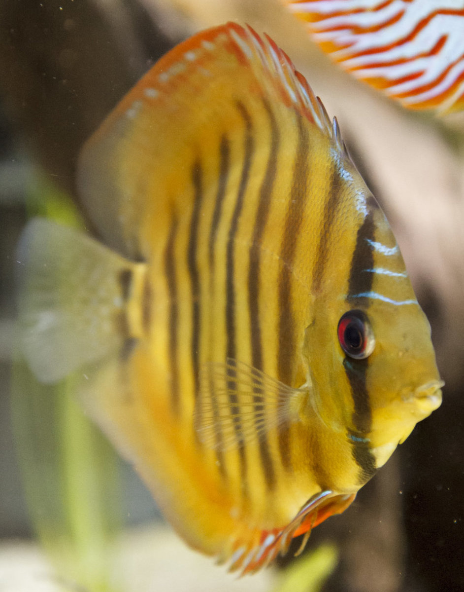 SS__3730 bewerkt 467.jpg