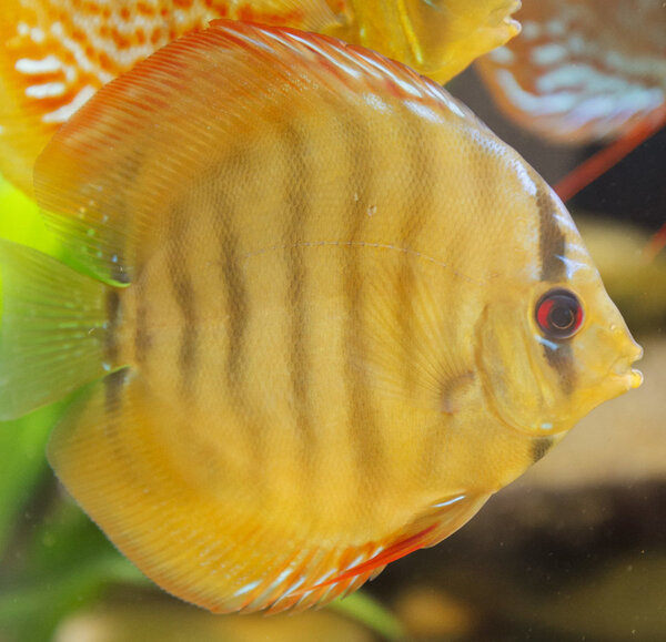 SS__3731 bewerkt 466.jpg