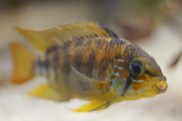 SS__3837 bewerkt 535.jpg