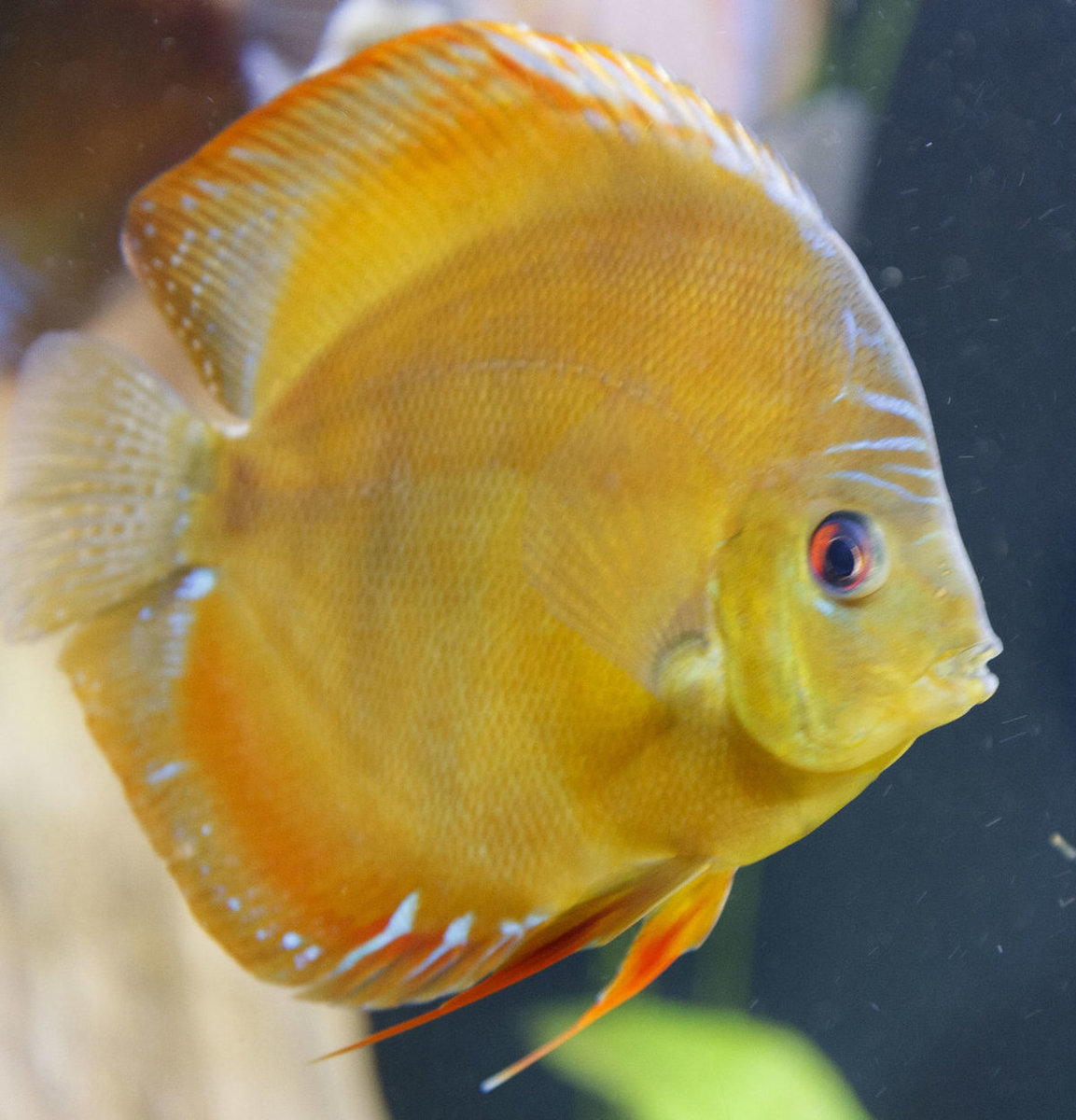 SS__5023 bewerkt 0005.jpg