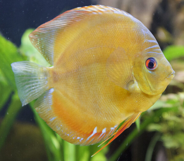 SS__5024 bewerkt 0006.jpg