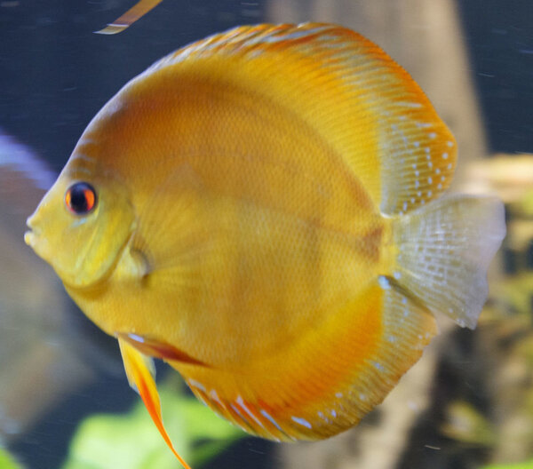 SS__5026 bewerkt 0008.jpg