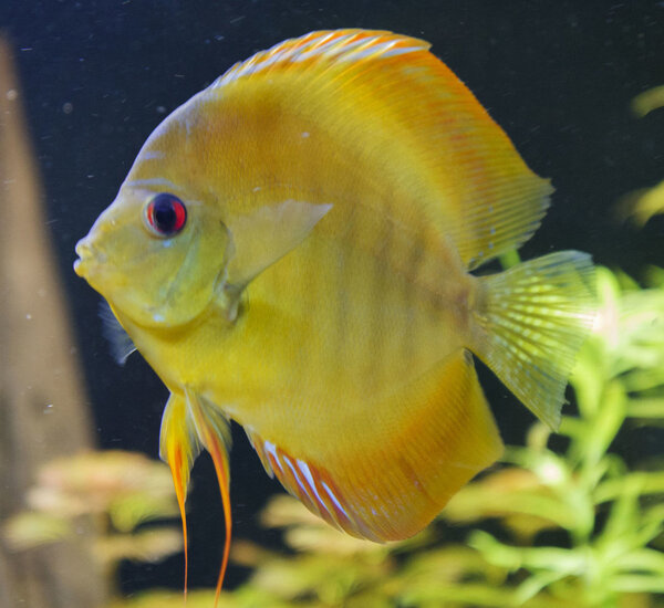 SS__5027 bewerkt 0009.jpg