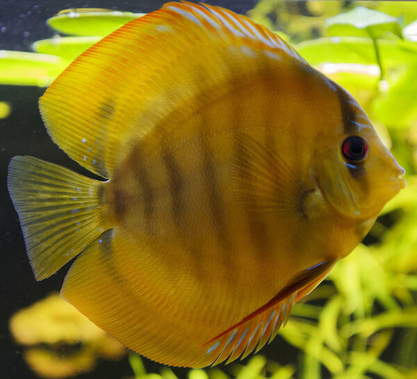 SS__5031 bewerkt 0011.jpg