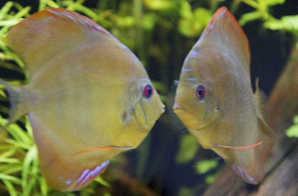 SS__5032 bewerkt 0012.jpg