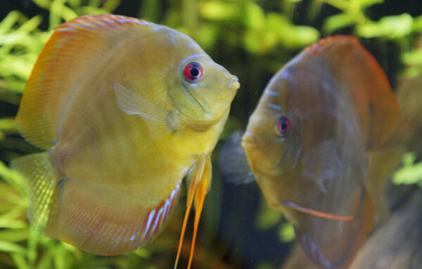 SS__5037 bewerkt 0013.jpg