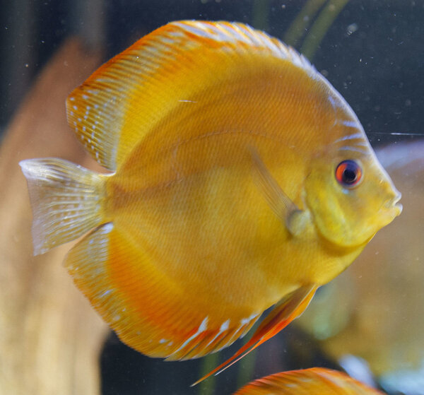 SS__5040 bewerkt 0015.jpg