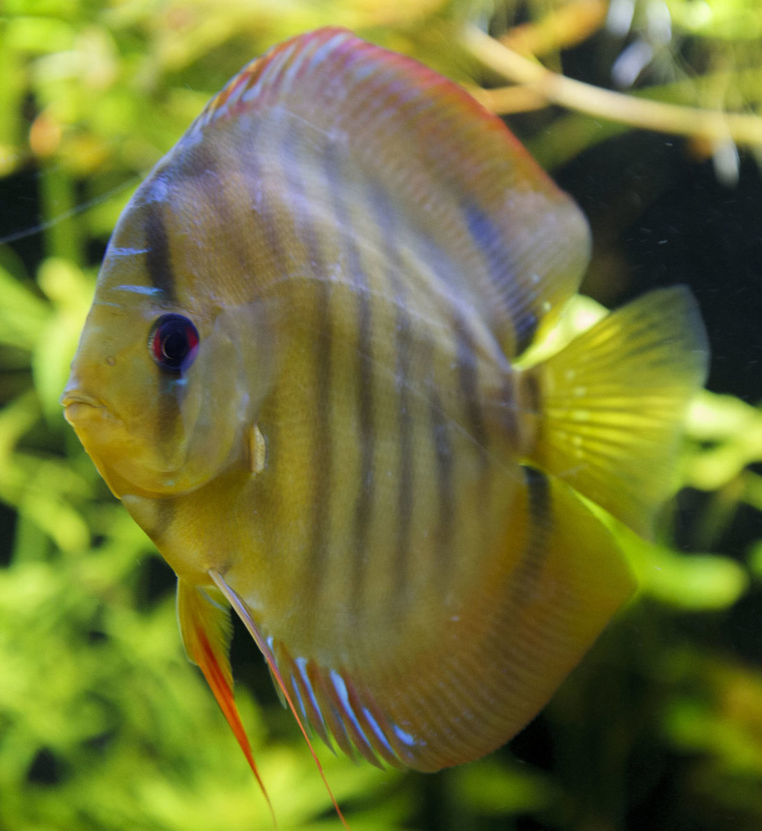 SS__5047 bewerkt 0017.jpg