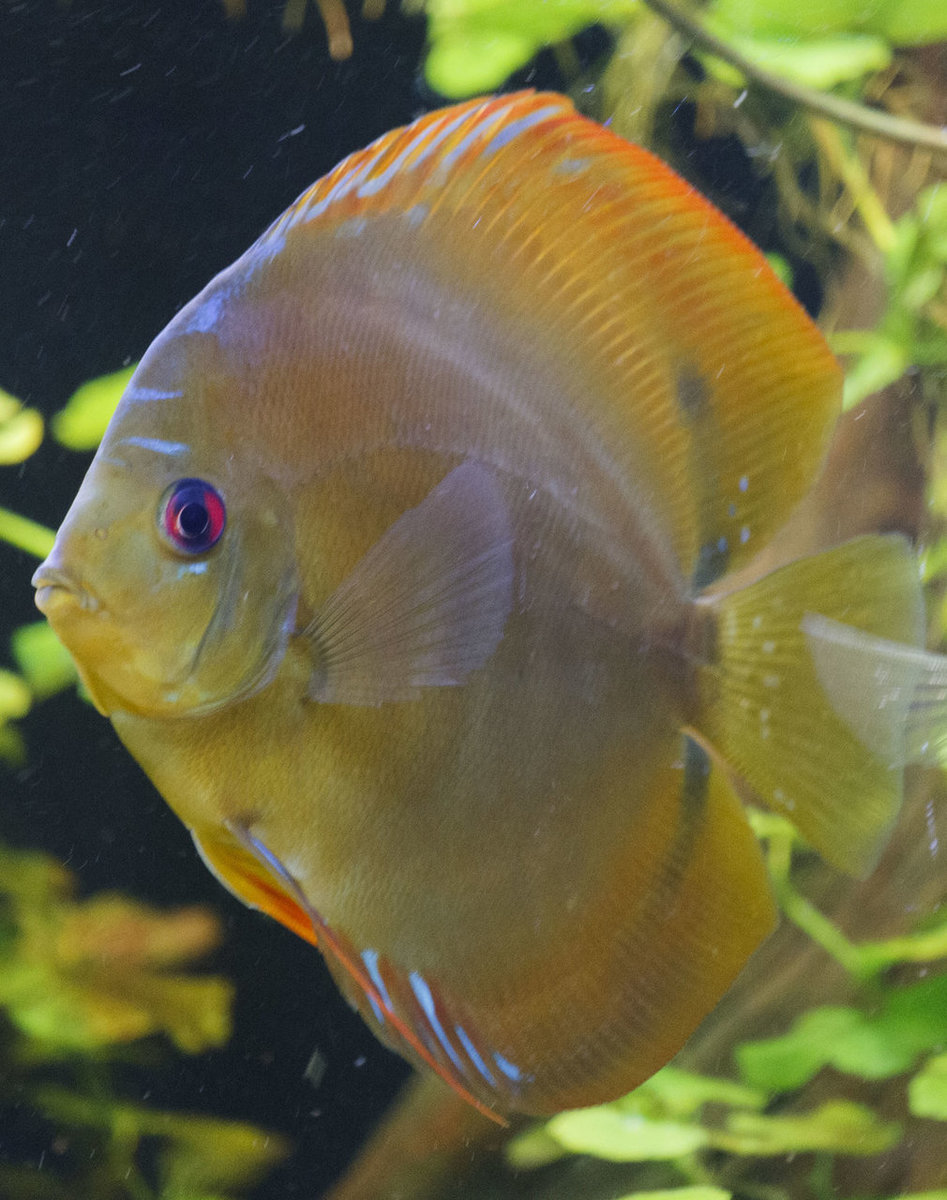 SS__5054 bewerkt 0020.jpg