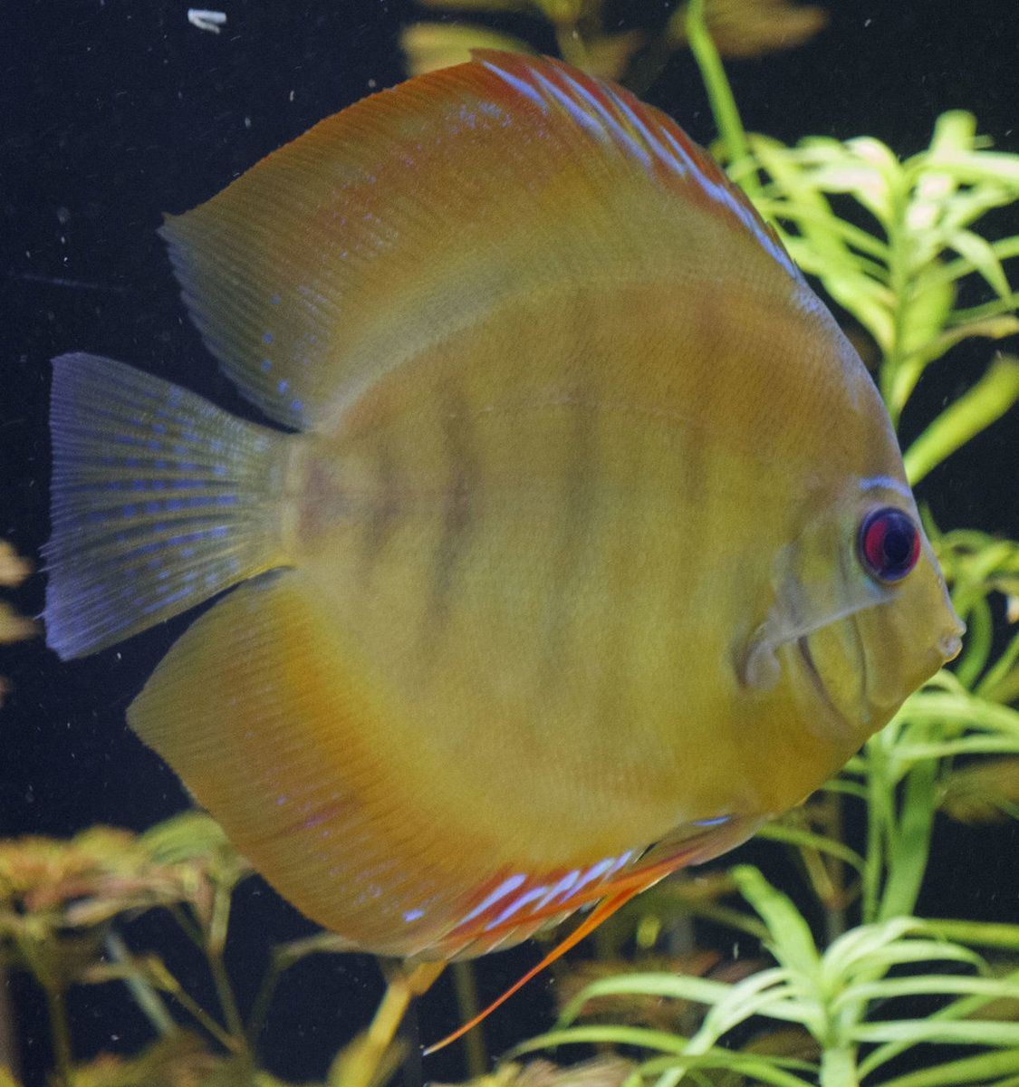 SS__5055 bewerkt 0021.jpg