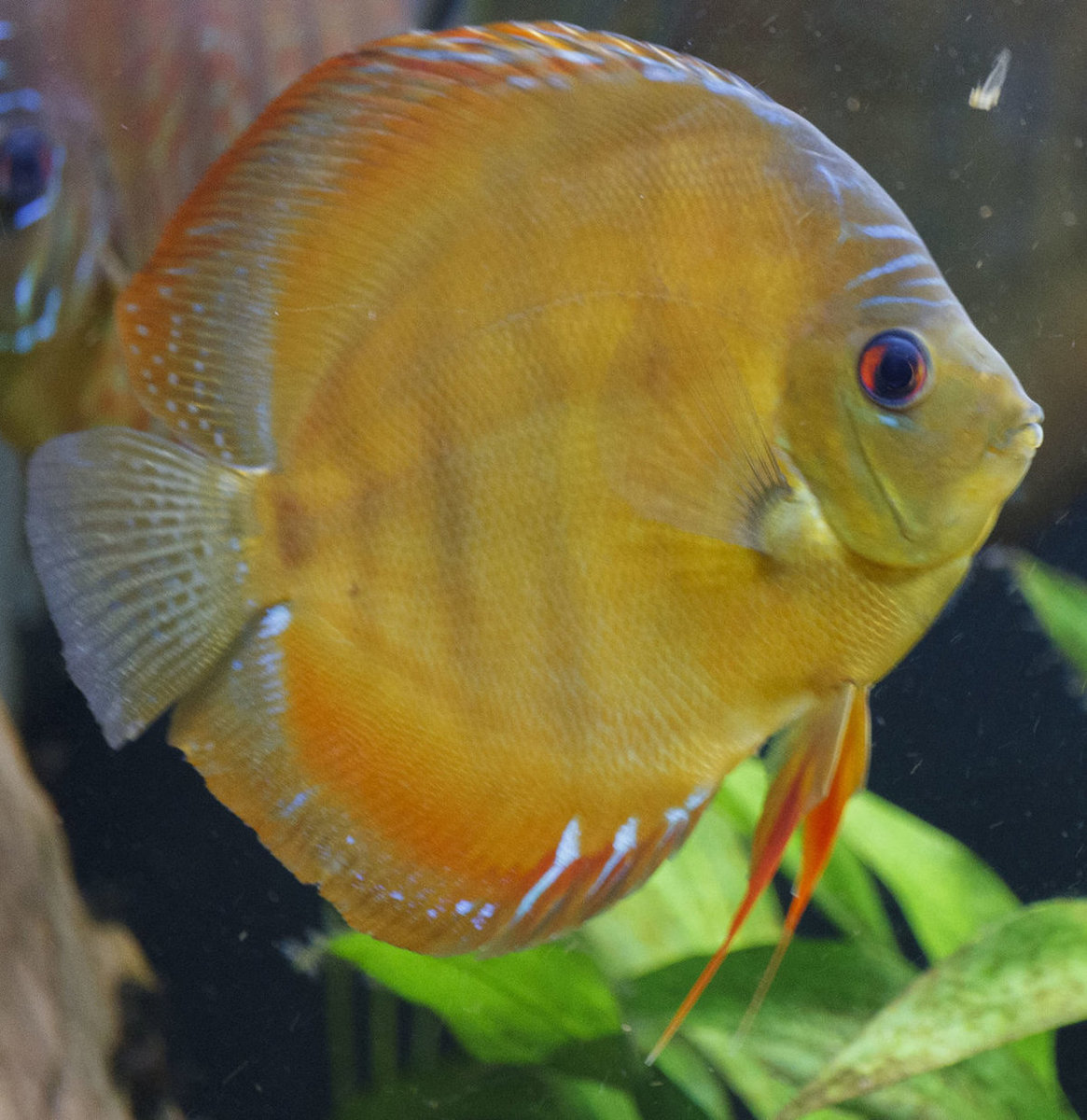 SS__5056 bewerkt 0022.jpg