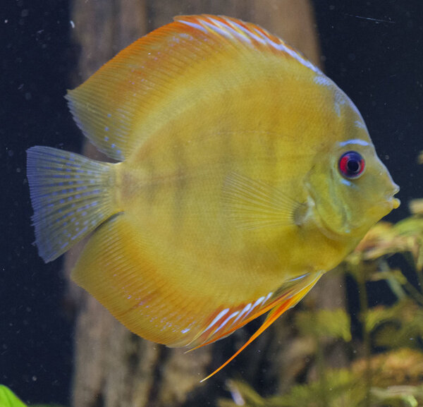 SS__5060 bewerkt 0023.jpg