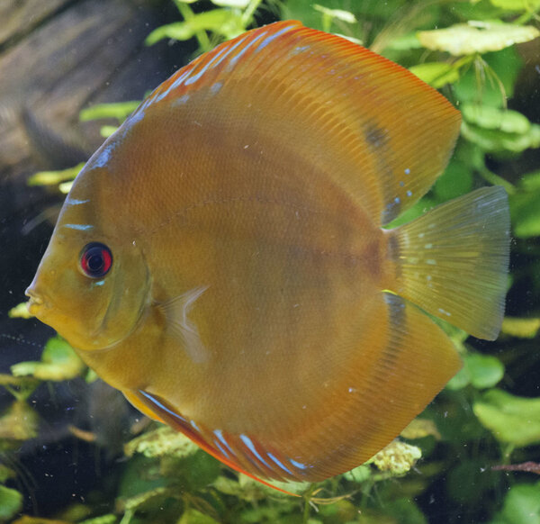 SS__5066 bewerkt 0025.jpg