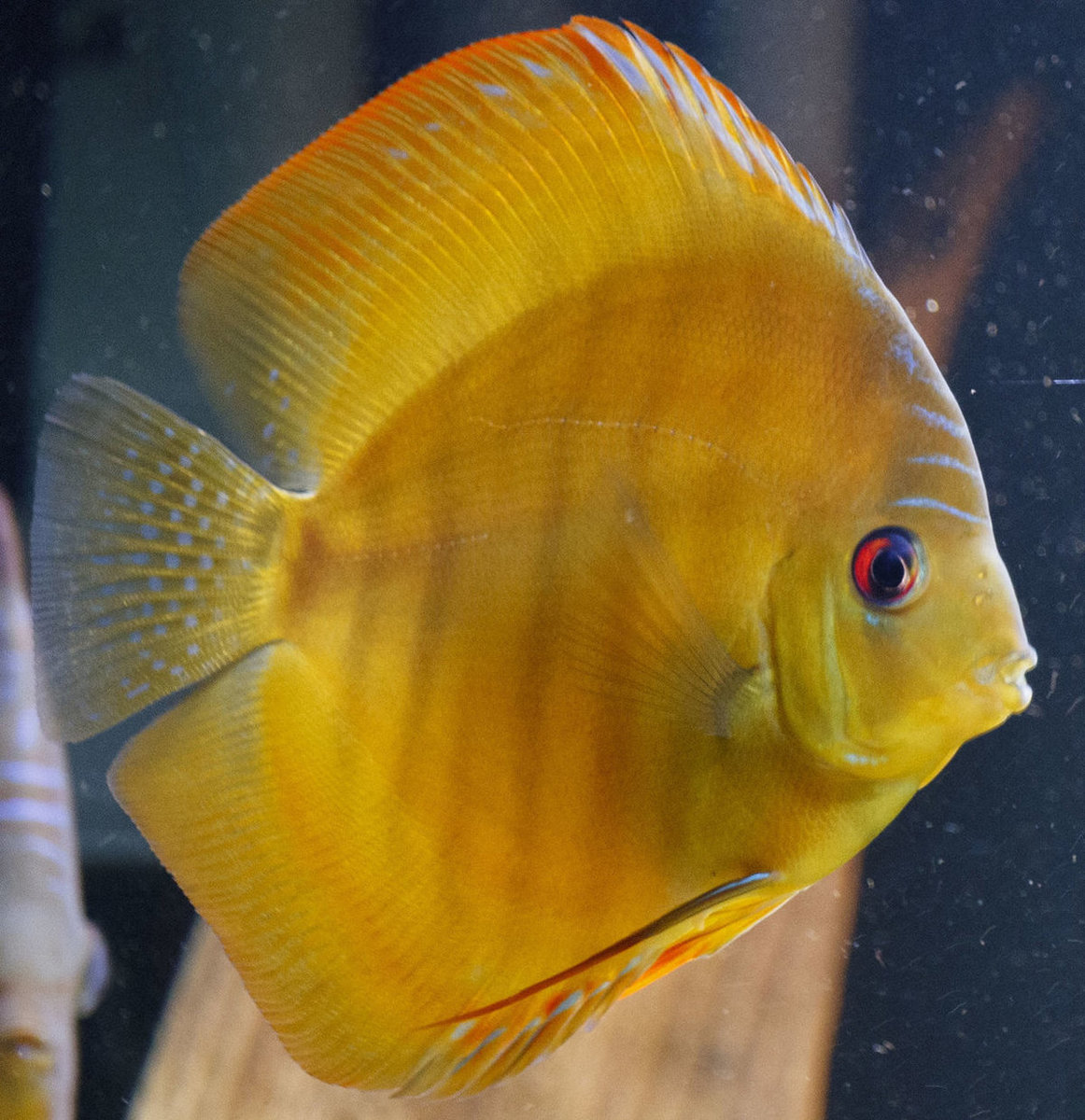 SS__5080 bewerkt 0029.jpg