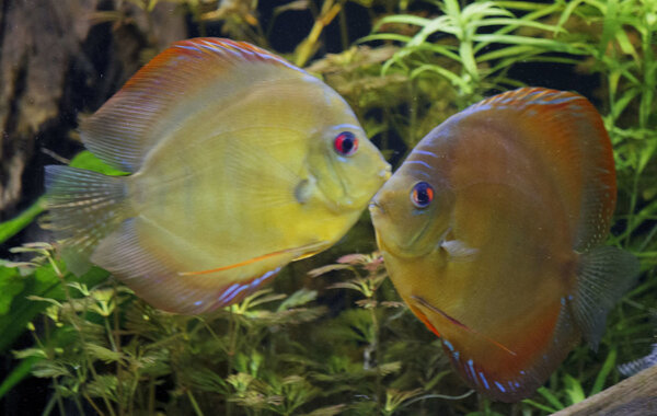 SS__5088 bewerkt 0031.jpg