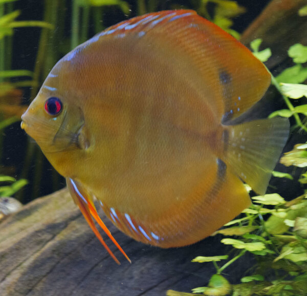 SS__5089 bewerkt 0032.jpg