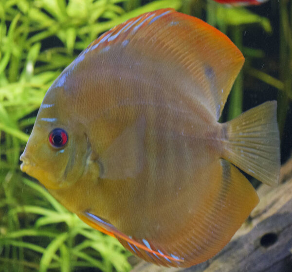 SS__5122 bewerkt 0034.jpg