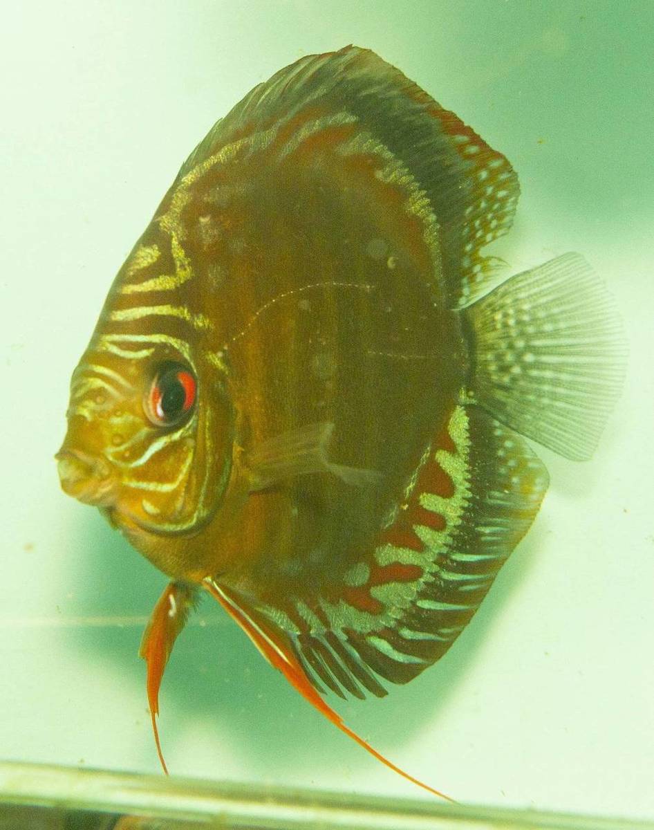 SS__6330_bewerkt_0083.jpg