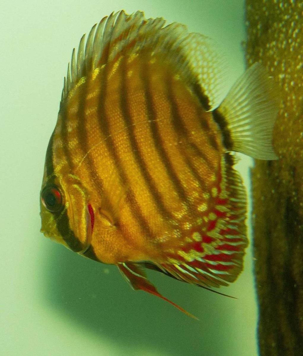 SS__6344_bewerkt_0096.jpg
