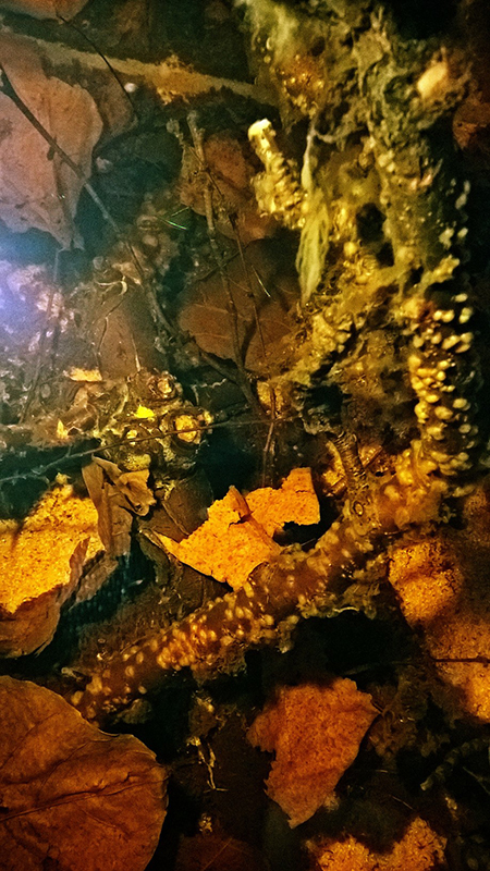 Topview1-800px_zps0q5hpsiv.jpg