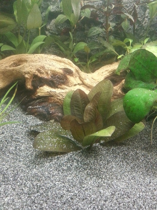 tp_dag_3_nieuw_plantje_1.jpg