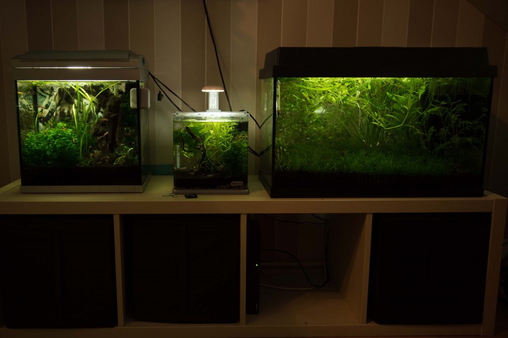 Vis_room2.jpg