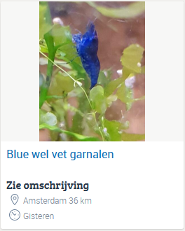 wel vet.PNG