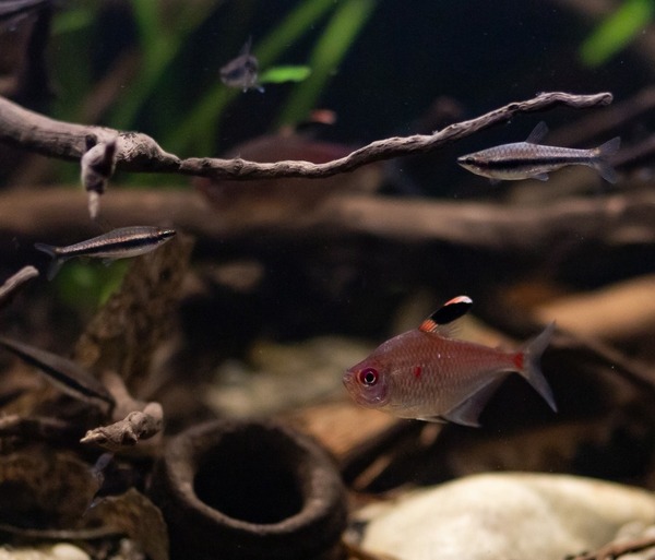 WhatsApp Image 2020-01-26 at 10.01.50 (10).jpeg