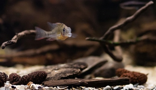 WhatsApp Image 2020-01-26 at 10.01.50 (9).jpeg