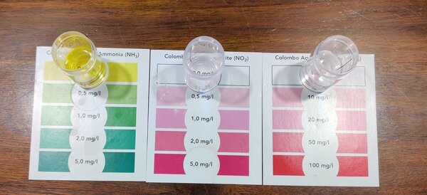 WhatsApp Image 2020-03-16 at 09.05.43.jpeg