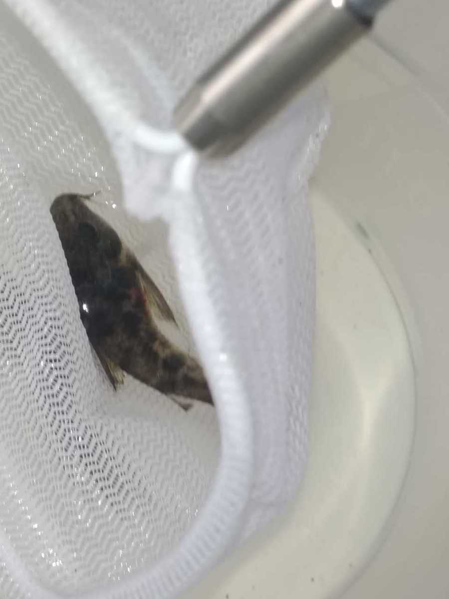 WhatsApp Image 2020-08-17 at 12.36.21 (2).jpeg