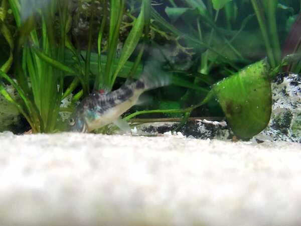 WhatsApp Image 2020-08-17 at 14.01.23.jpeg