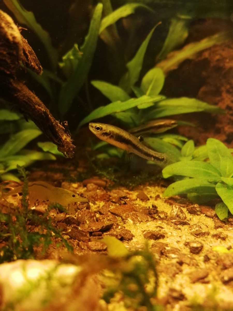 WhatsApp Image 2020-11-10 at 18.14.09.jpeg