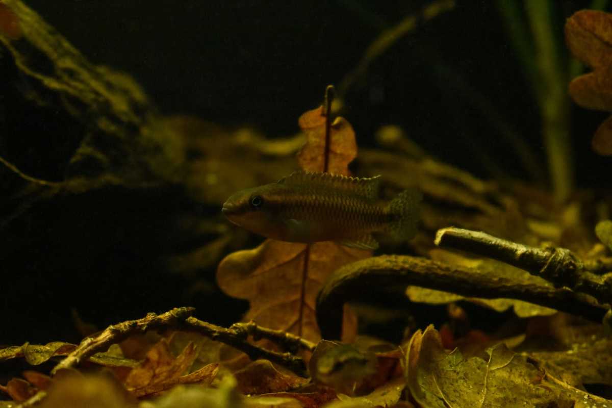 WhatsApp Image 2020-12-09 at 18.35.25 (2).jpeg