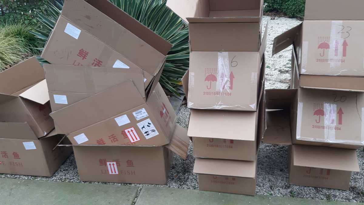 WhatsApp Image 2021-01-15 at 14.05.46.jpeg