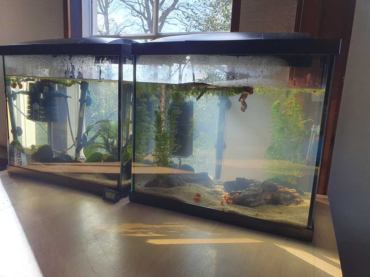 WhatsApp Image 2021-02-28 at 15.58.19.jpeg