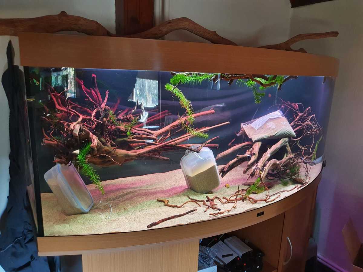 WhatsApp Image 2021-02-28 at 16.00.08.jpeg