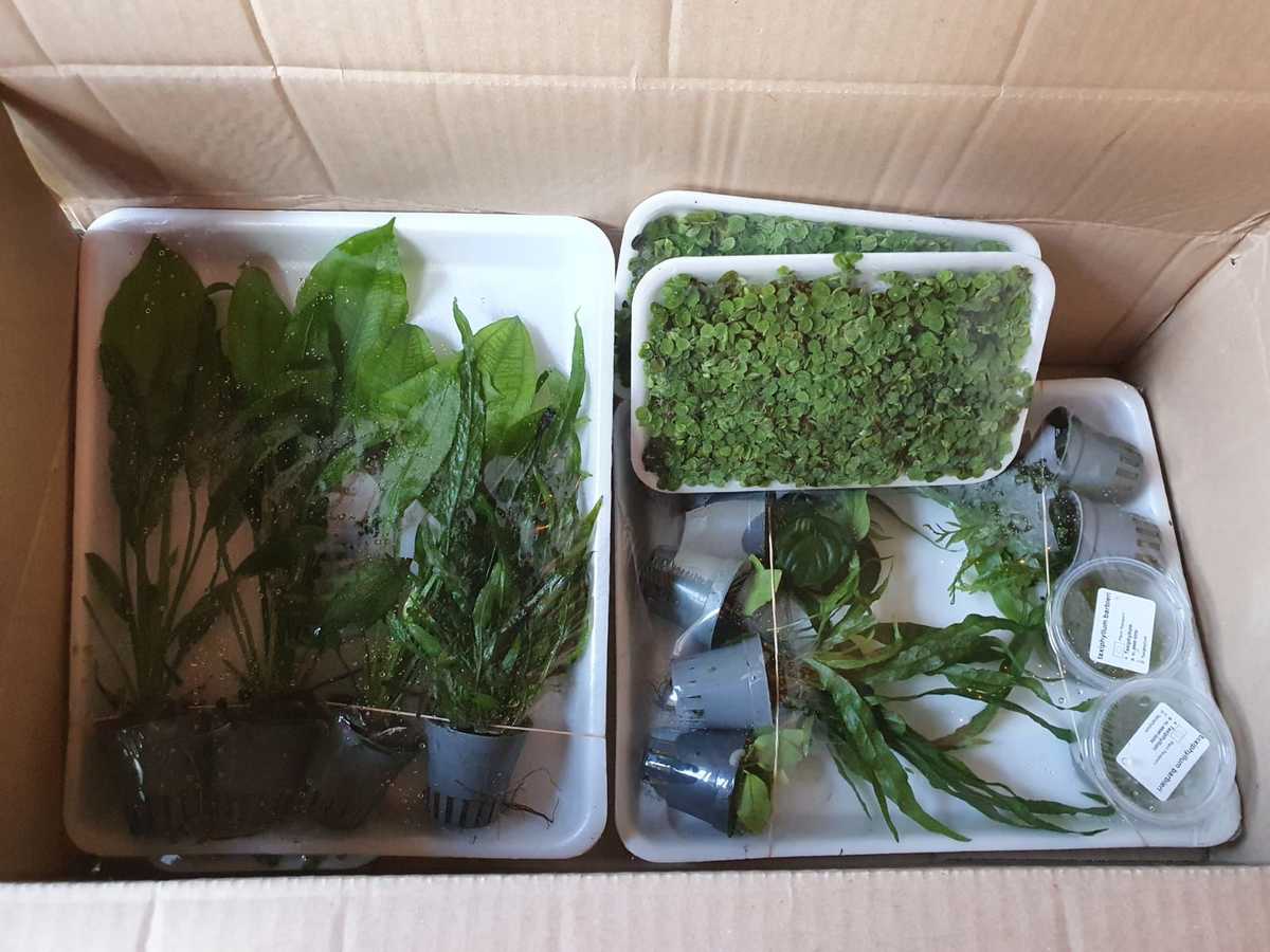 WhatsApp Image 2021-03-02 at 12.16.10.jpeg