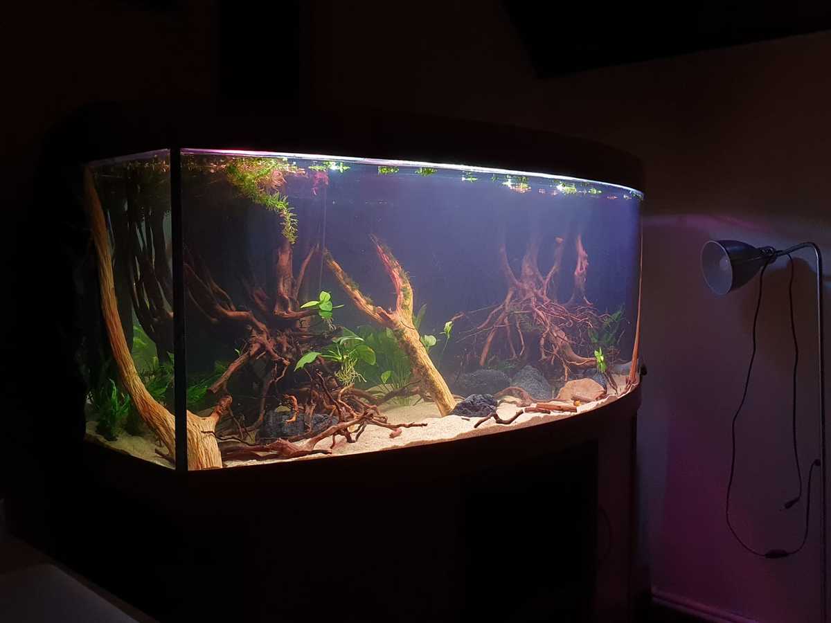 WhatsApp Image 2021-03-02 at 19.19.12.jpeg