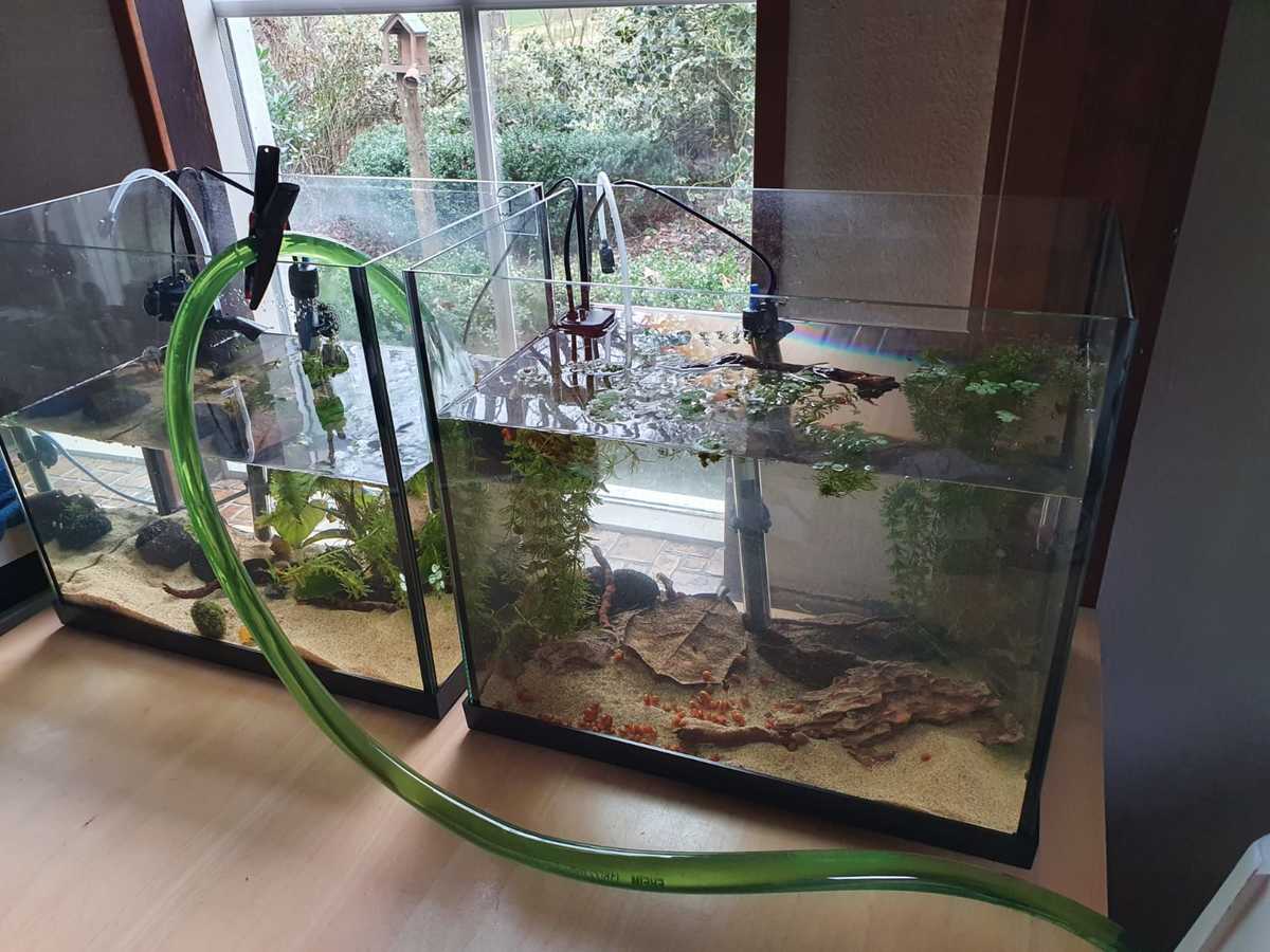 WhatsApp Image 2021-03-10 at 16.02.54.jpeg