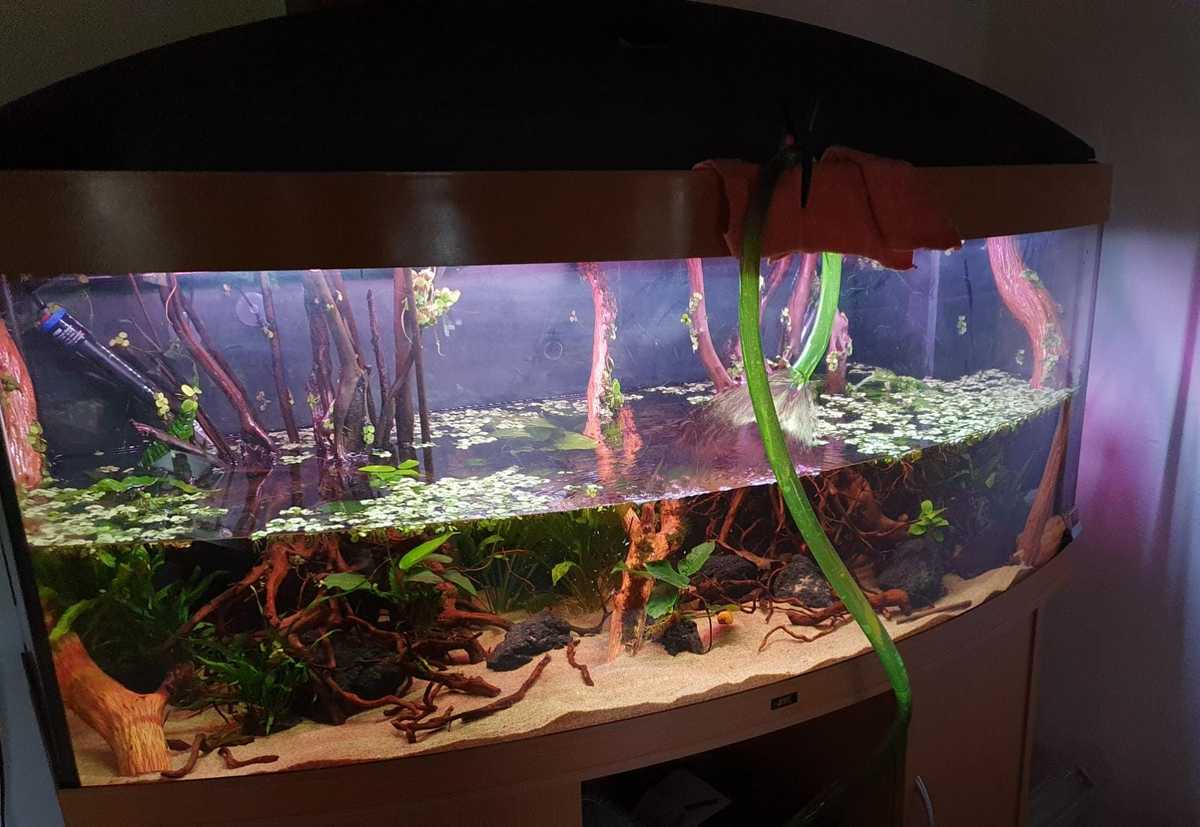 WhatsApp Image 2021-03-16 at 17.20.01.jpeg